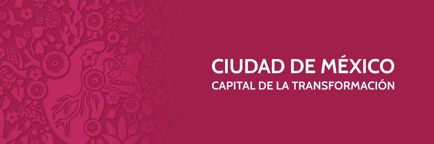 Gobierno de la Ciudad de México's banner
