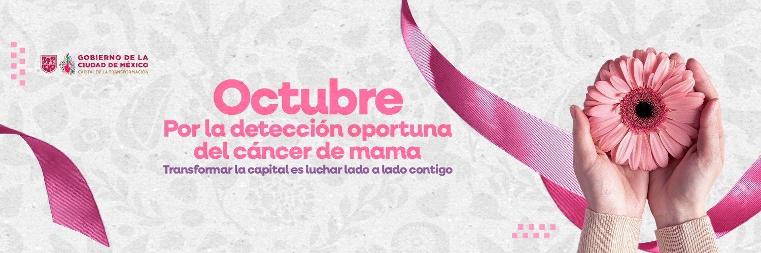 GobCDMX's profile banner image