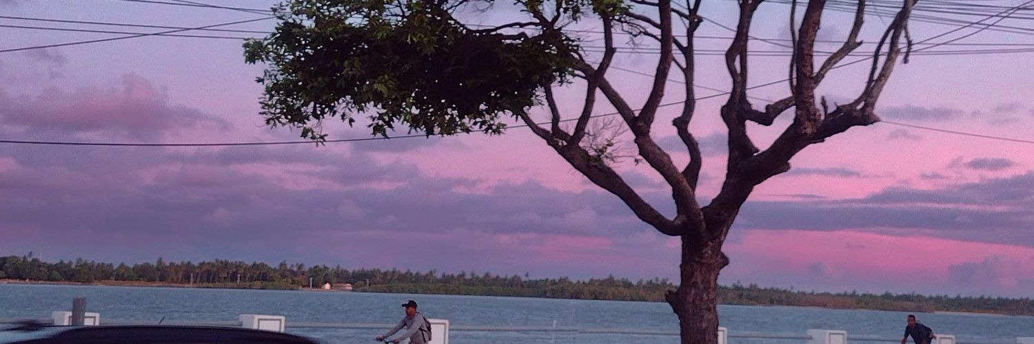 micalarei's profile banner image