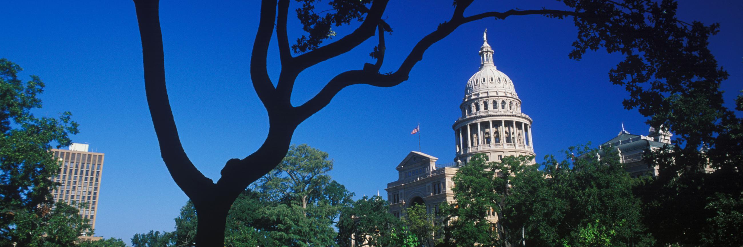 TexasGOPVote's profile banner image