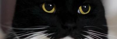 ar_genis_'s profile banner image
