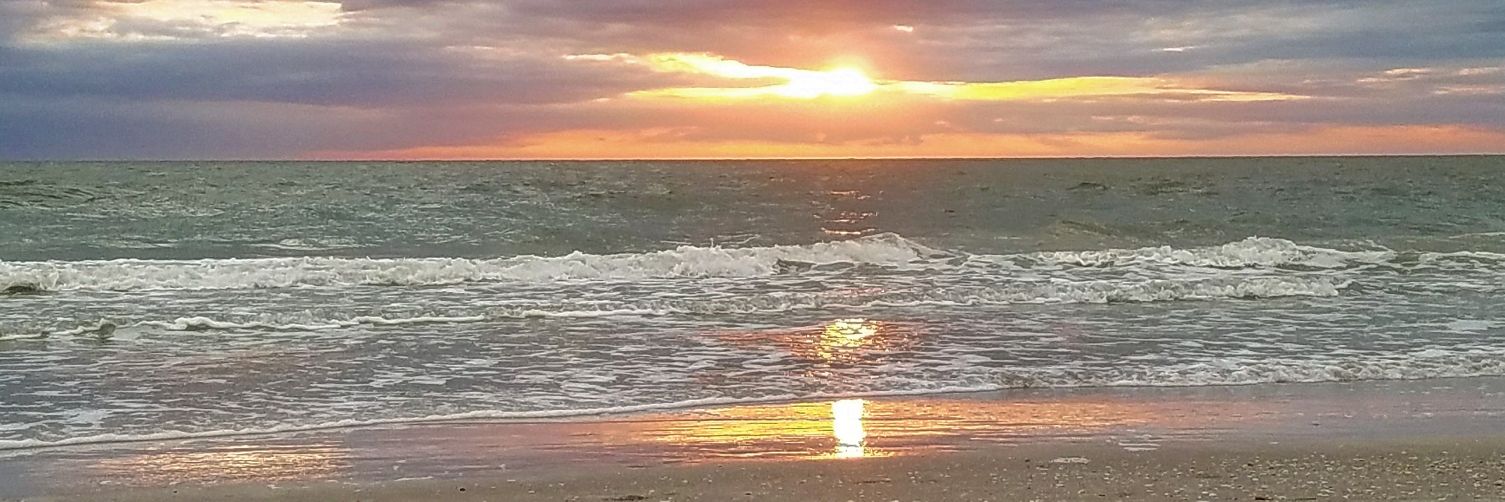 raeacton12's profile banner image