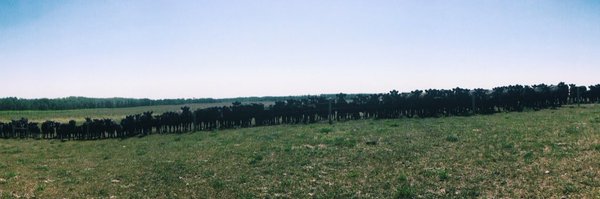 Srutledge97 Profile Banner