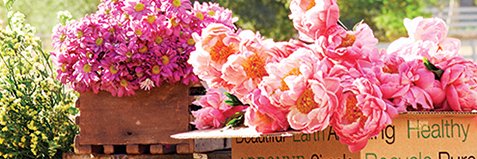 Fran_Halpin's profile banner image