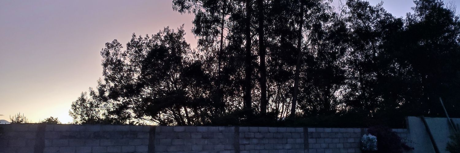 adrian_aldaz's profile banner image