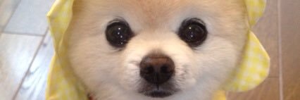 NORITAROSU93's profile banner image