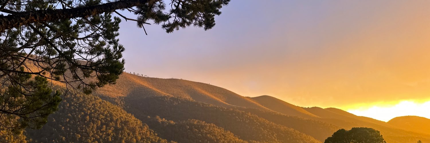 MelaniePVS's profile banner image
