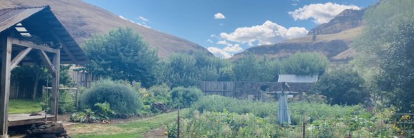 DenaHellums Profile Banner