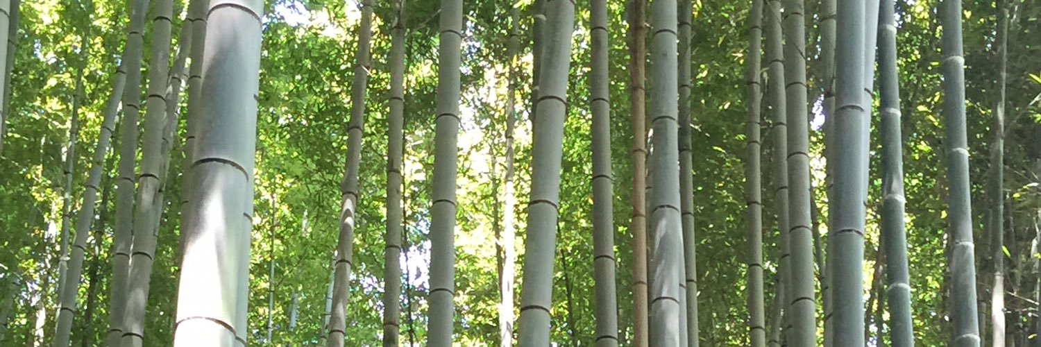 BrettWalterCAN's profile banner image