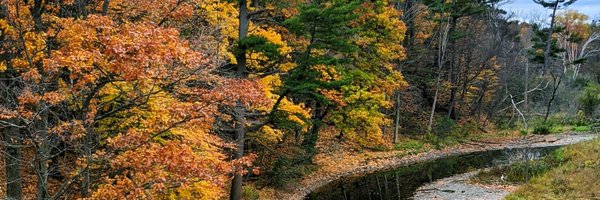 chithrapriya1 Profile Banner