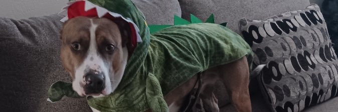 YaBoiChum's profile banner image