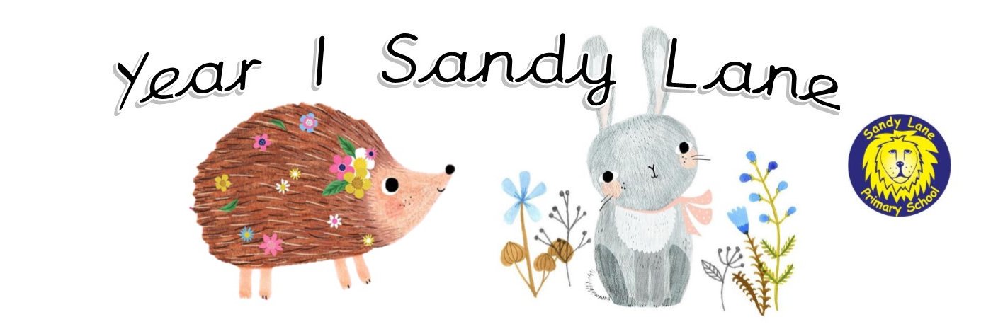 Sandy Lane Year 1 banner
