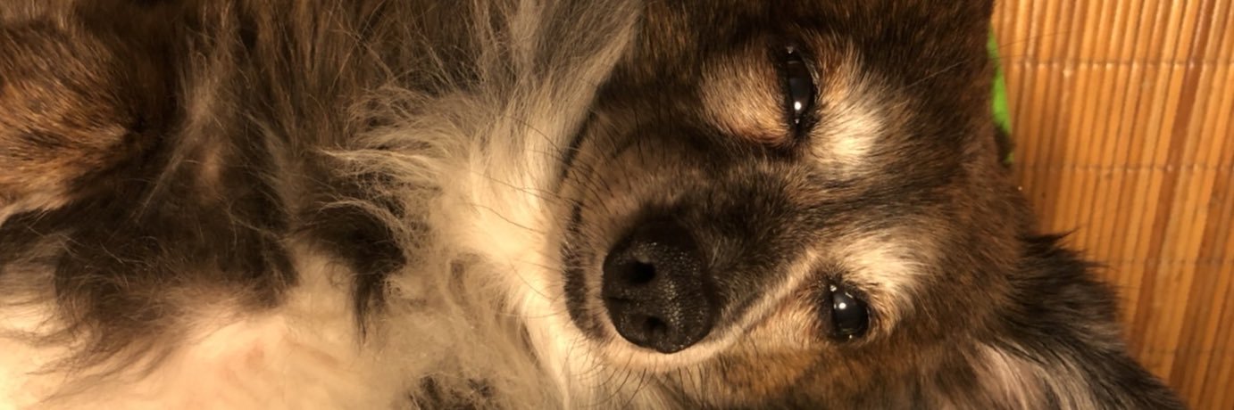 thu_a3's profile banner image