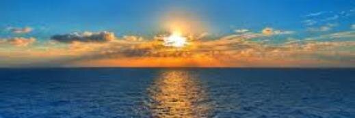 SharonWilson16's profile banner image