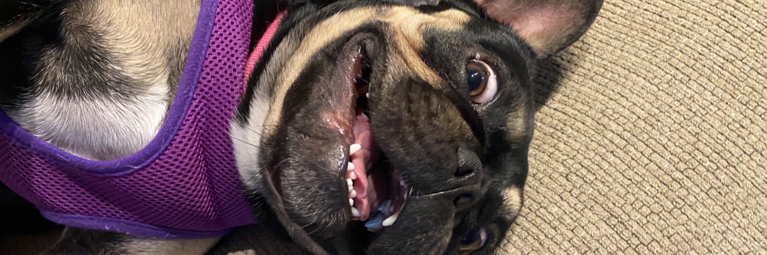 katelyndize3's profile banner image