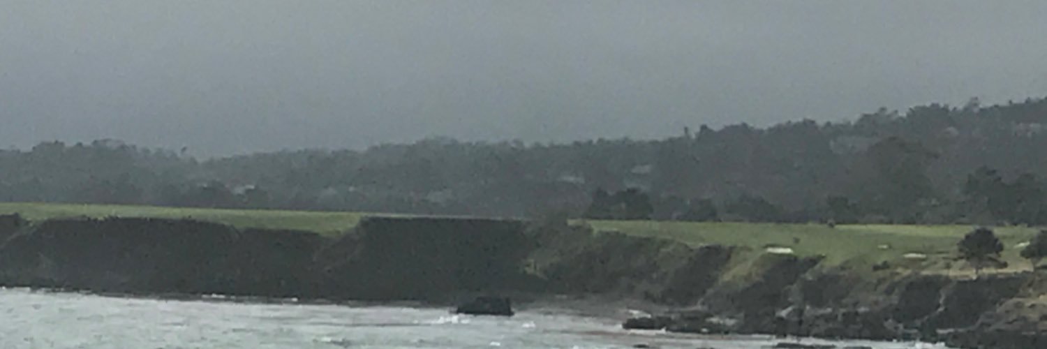 bigswederi's profile banner image