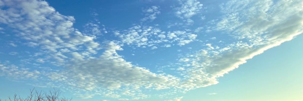 pritynoichigo's profile banner image