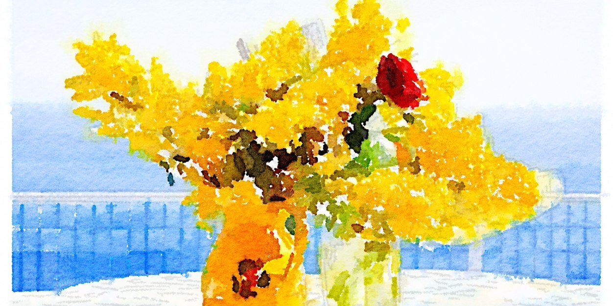 lynnkane358's profile banner image
