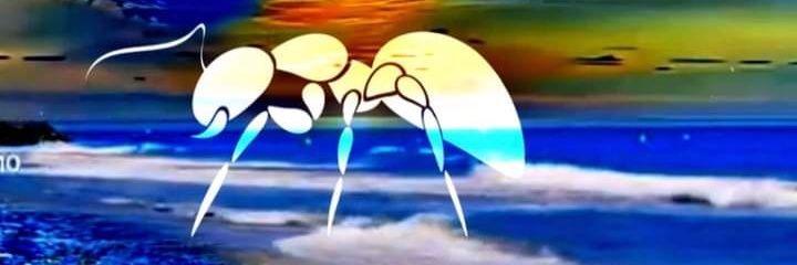 Zöë Mängäy banner
