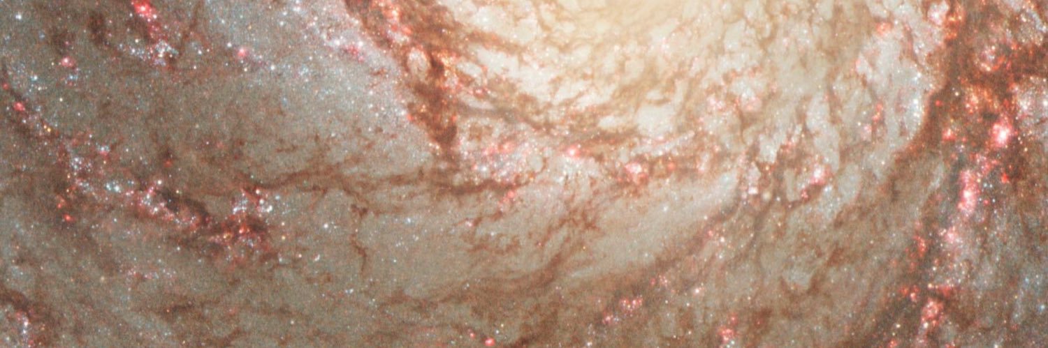 noraeugine's profile banner image