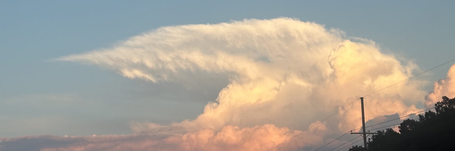 semkari_'s profile banner image