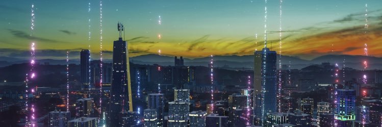 562_Shorty's profile banner image
