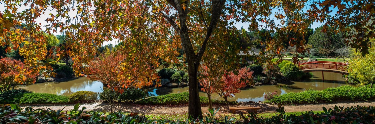 Francis Gacenga banner