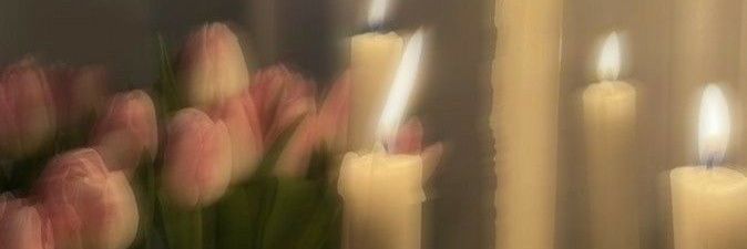 oceane_bance's profile banner image
