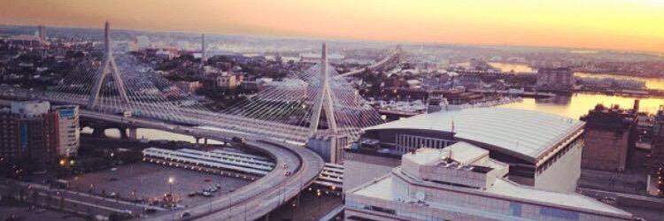BostonAnt's profile banner image