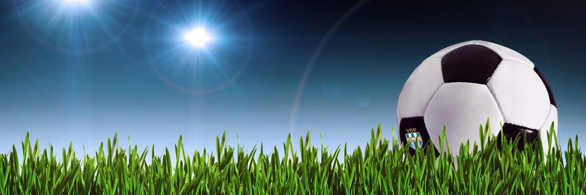 vsvvreeswijk's profile banner image