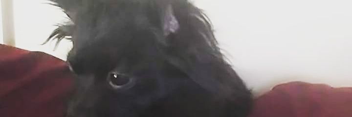 GABBYYSS2000's profile banner image