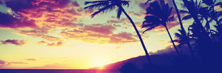 xo_mandabear's profile banner image