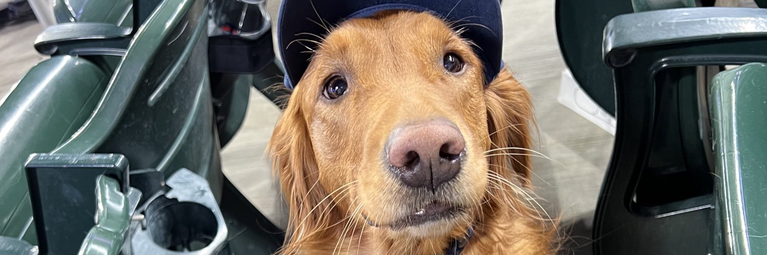 hughsieee's profile banner image