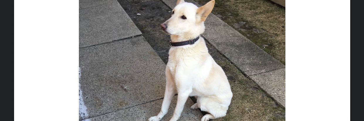 Hanginthere 🦋 banner