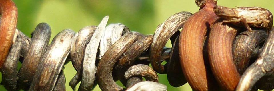 SantaLucia1999's profile banner image