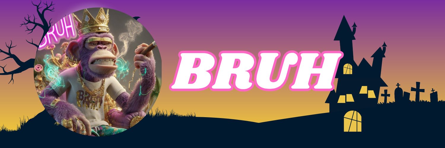 $BRUH banner