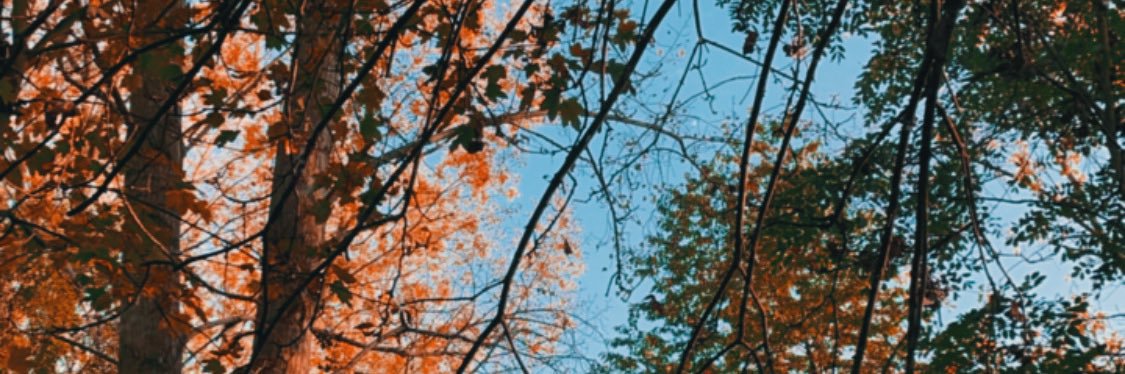 itsmonasweet's profile banner image