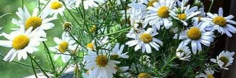 emine_min's profile banner image