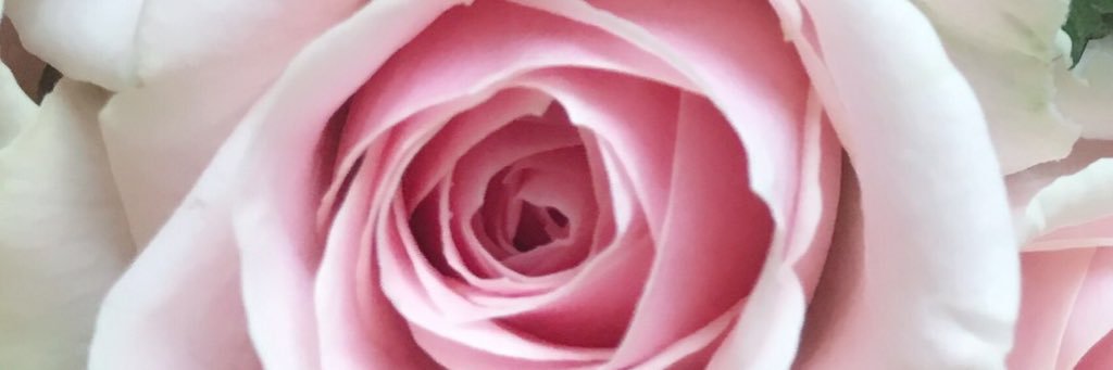 Y_TVL184's profile banner image