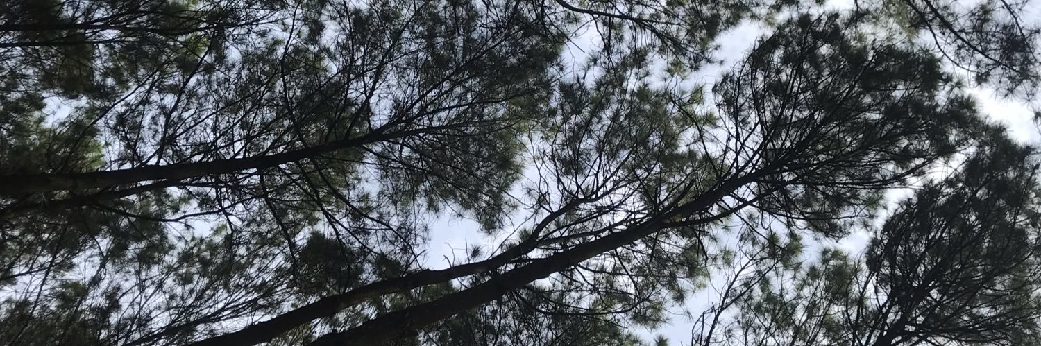 nursaida_'s profile banner image