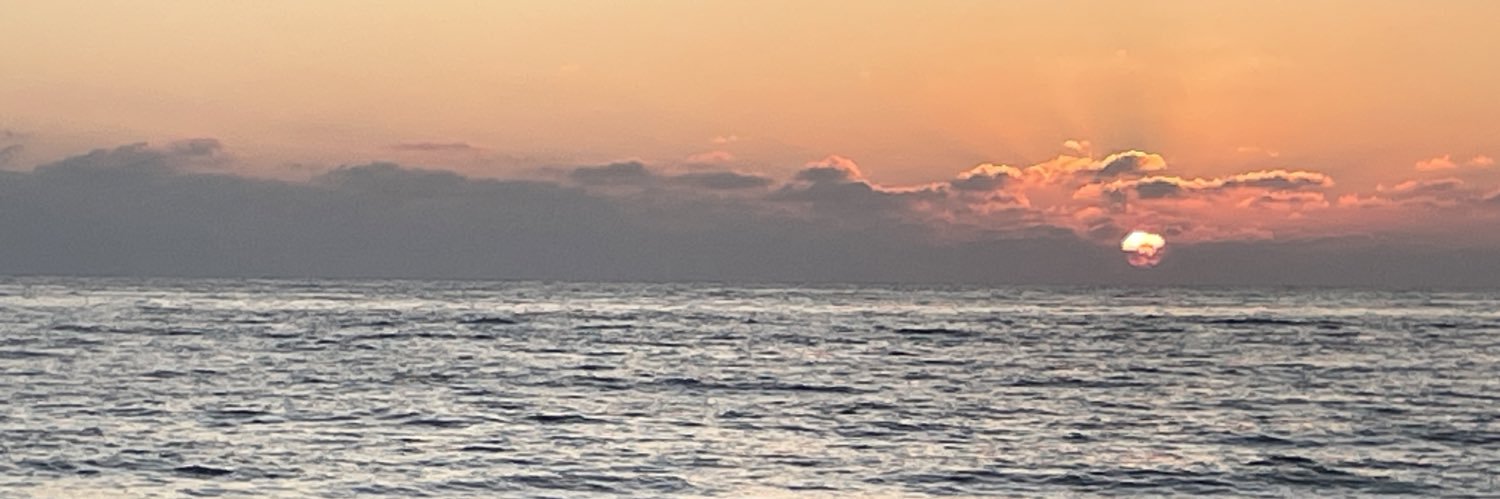 n_alyssa7's profile banner image