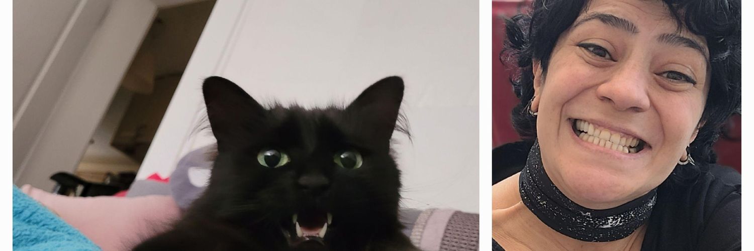 aylaakyol2's profile banner image