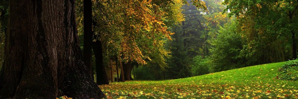 whynottu's profile banner image