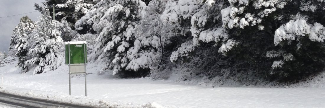 Paul Christensen banner