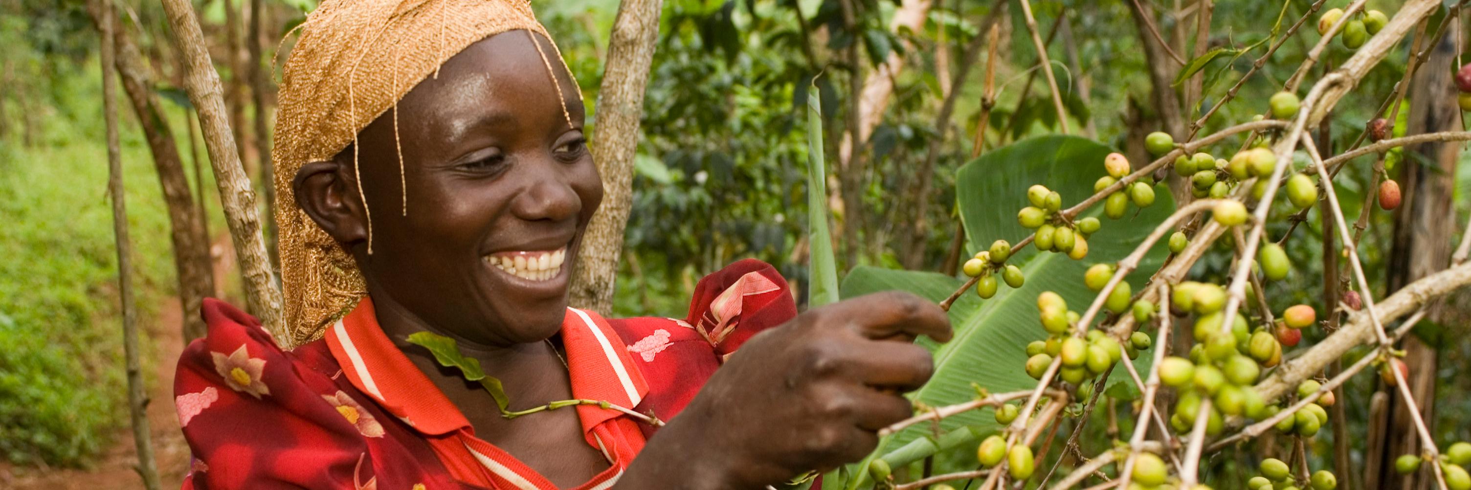 FairtradePolicy Team banner