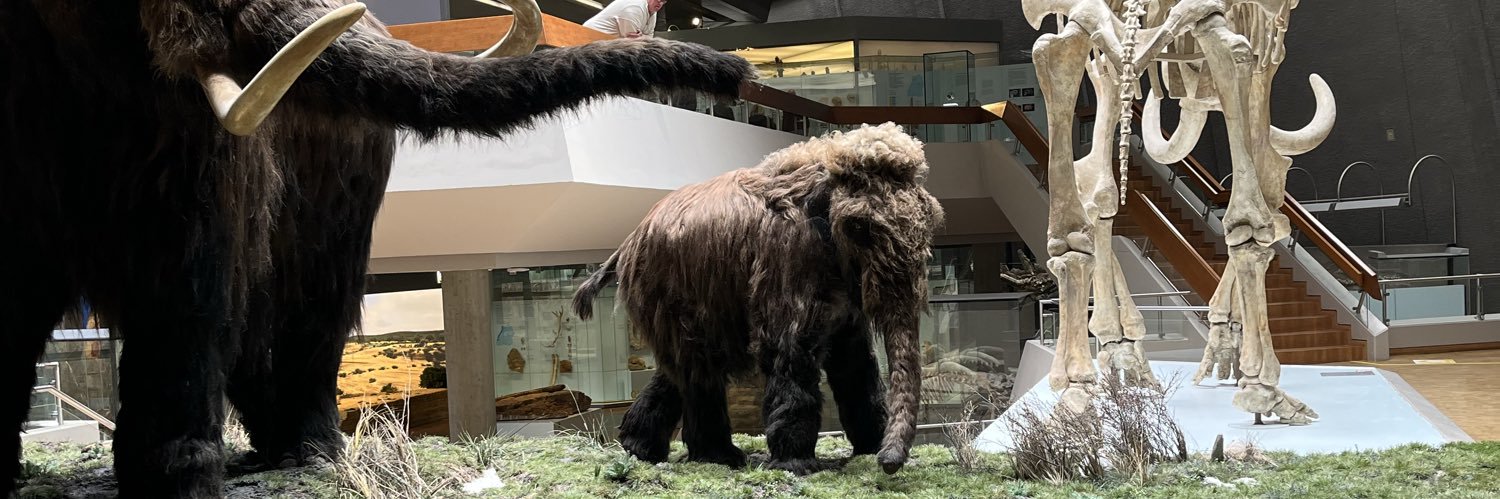 Anand Mayakonda 🕉️ banner