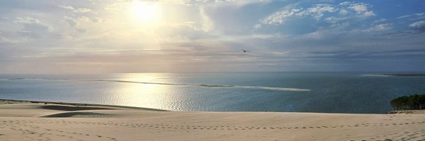 Cryptelo Profile Banner