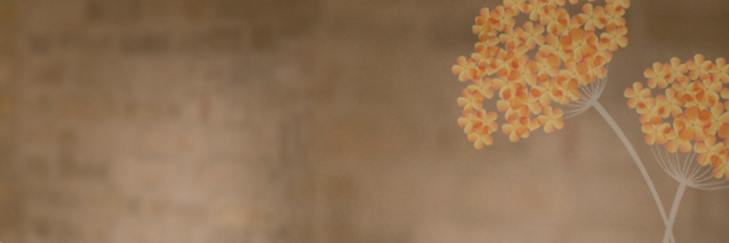Jill Briscoe banner