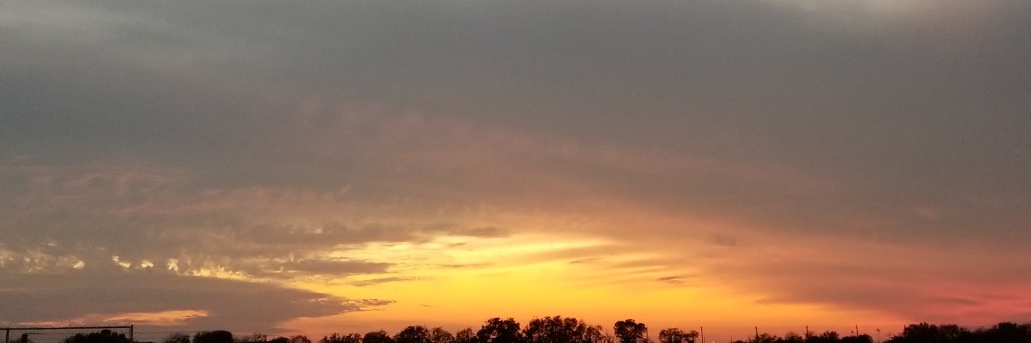 Ariela banner