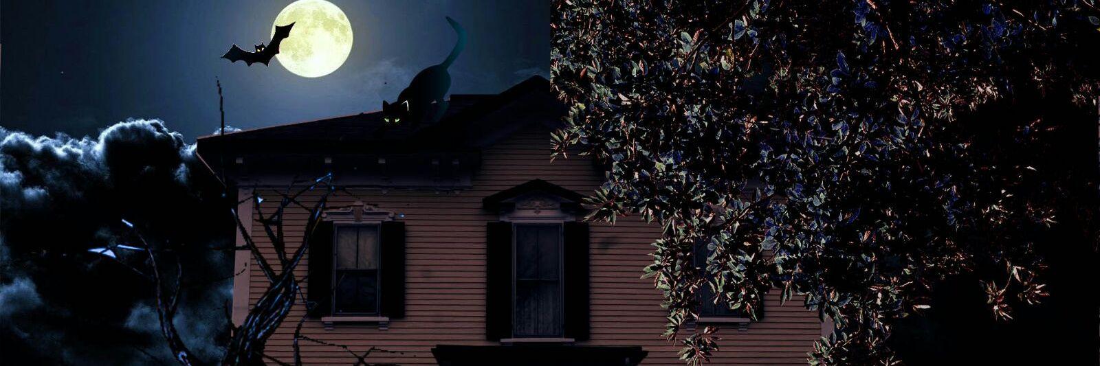 MR_EGOISTIC's profile banner image